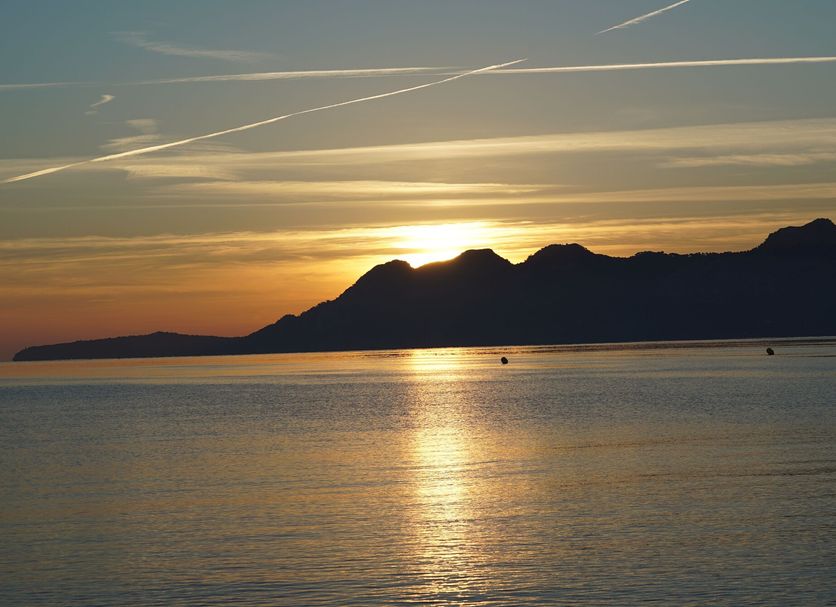 Sonstige Foto