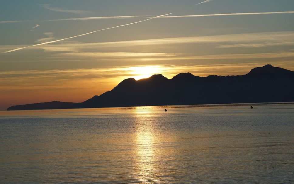 Sonstige Foto