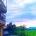 Sonstige