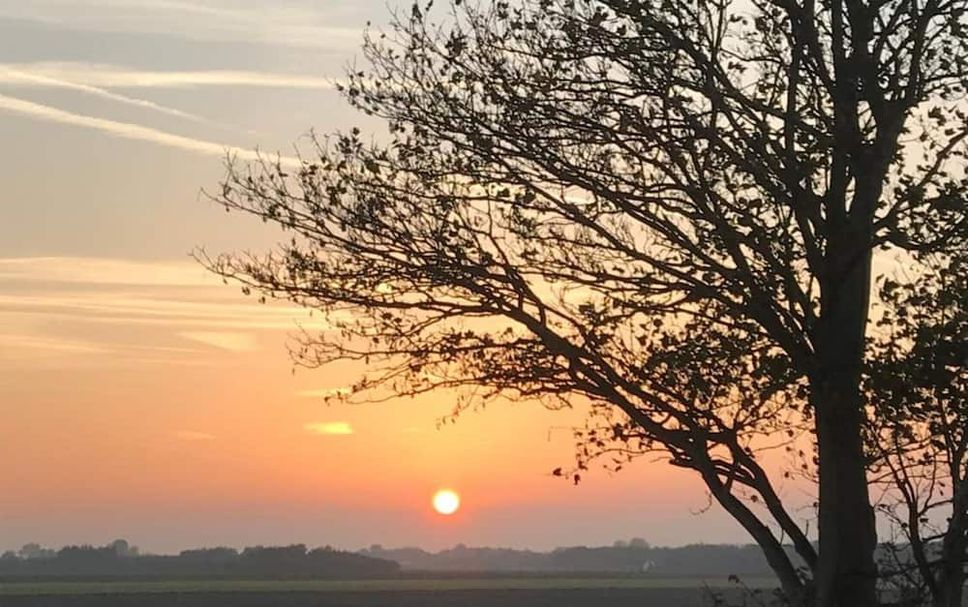 Außenansicht Foto