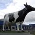 Sonstige