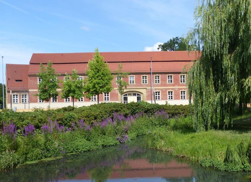 Sonstige Foto