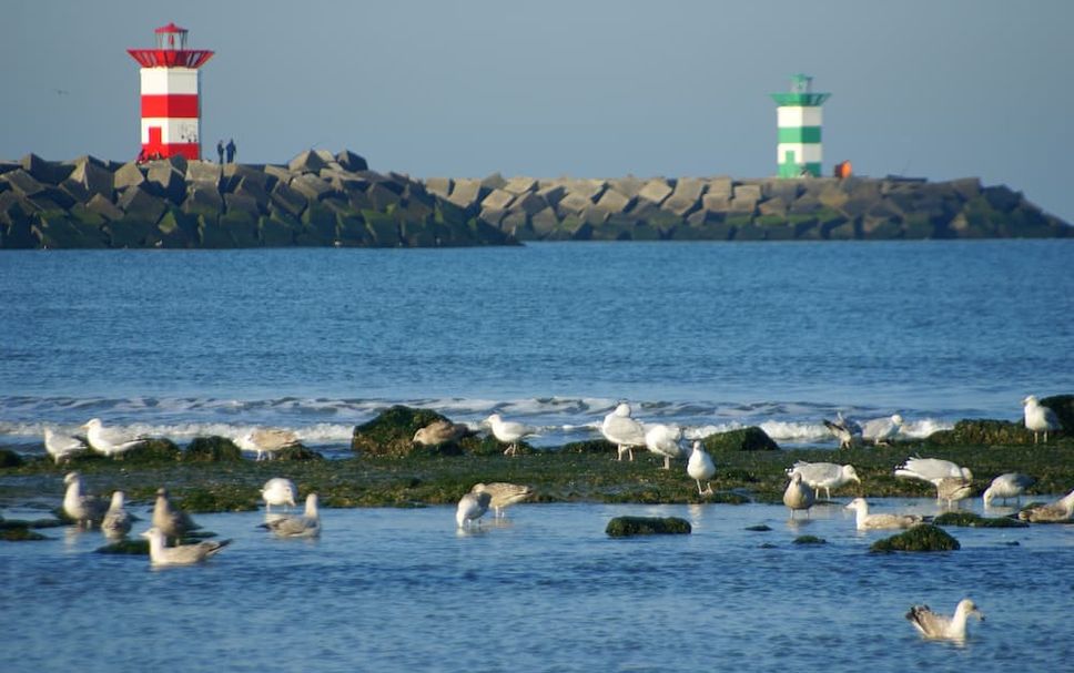 Sonstige Foto