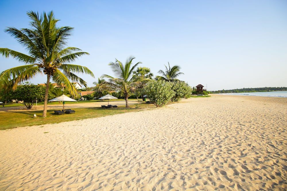 Strand