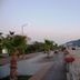 Sonstige