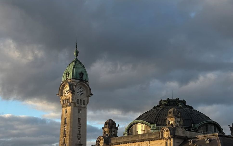 Sonstige Foto