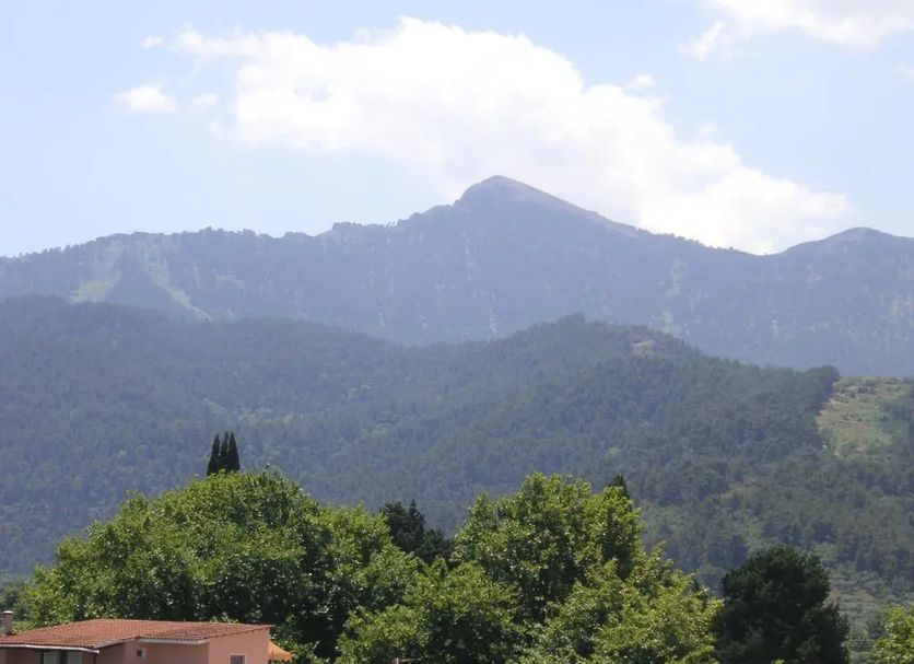 Außenansicht Foto