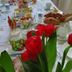 Sonstige