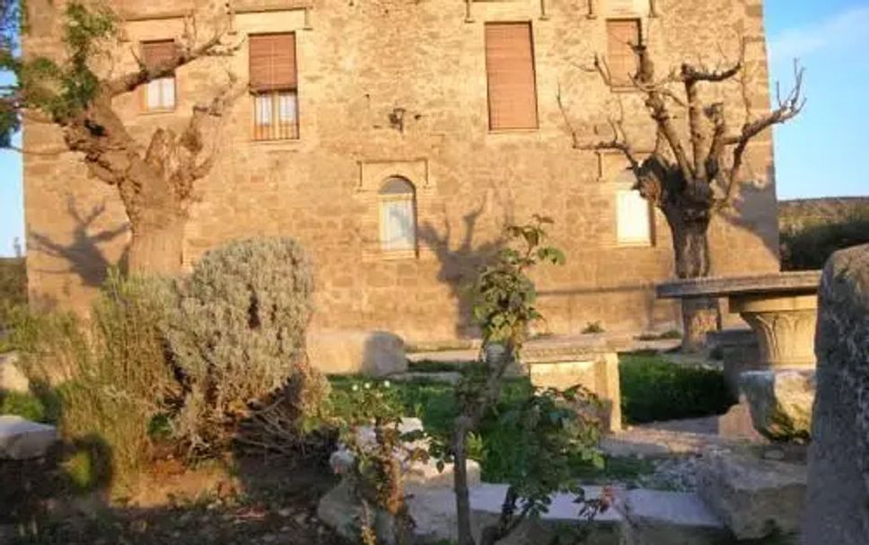 Sonstige Foto
