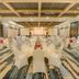 Bankettsaal