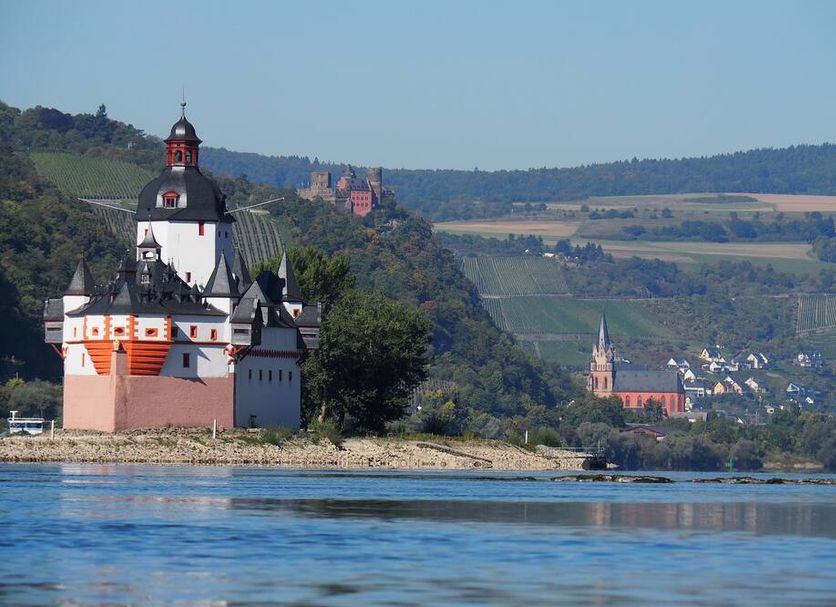 Sonstige Foto