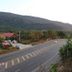 Sonstige
