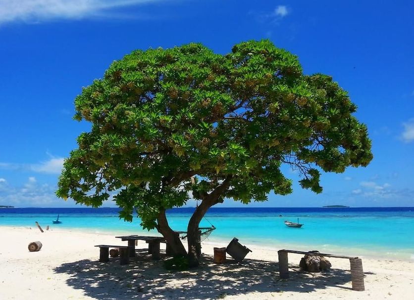 Strand Foto