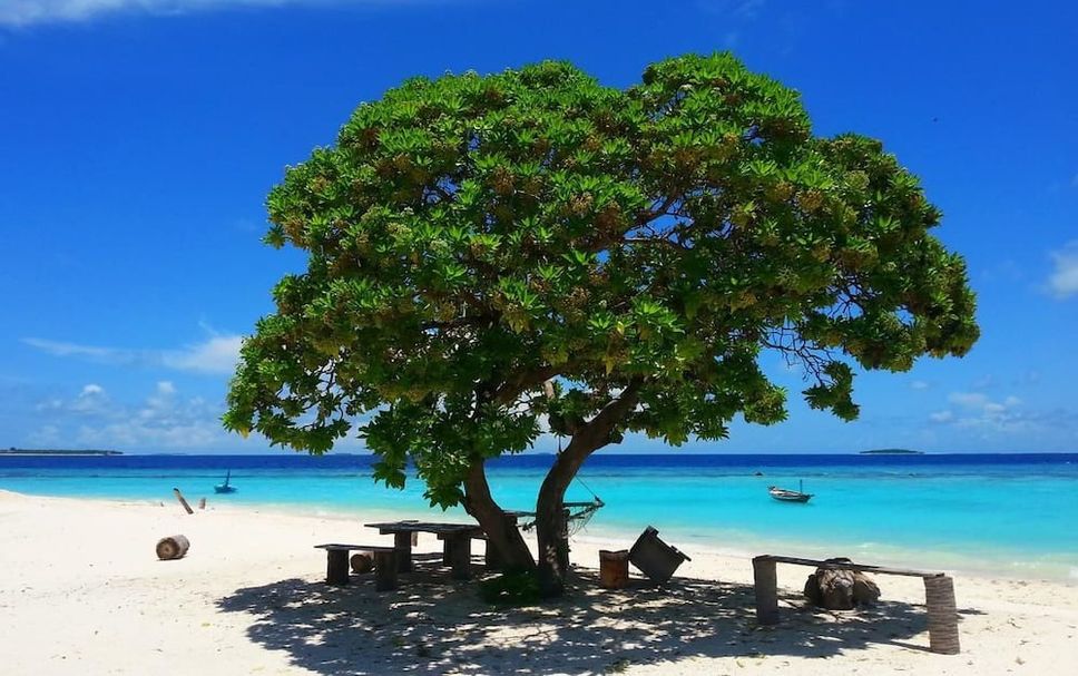 Strand Foto