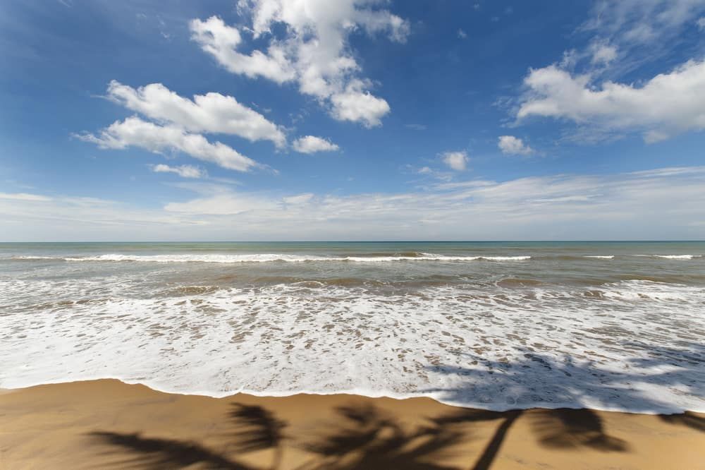 Strand