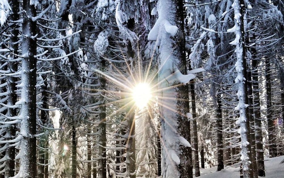 Außenansicht Foto