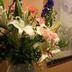 Sonstige