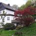 Sonstige