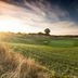 Golfplatz
