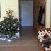 Sonstige