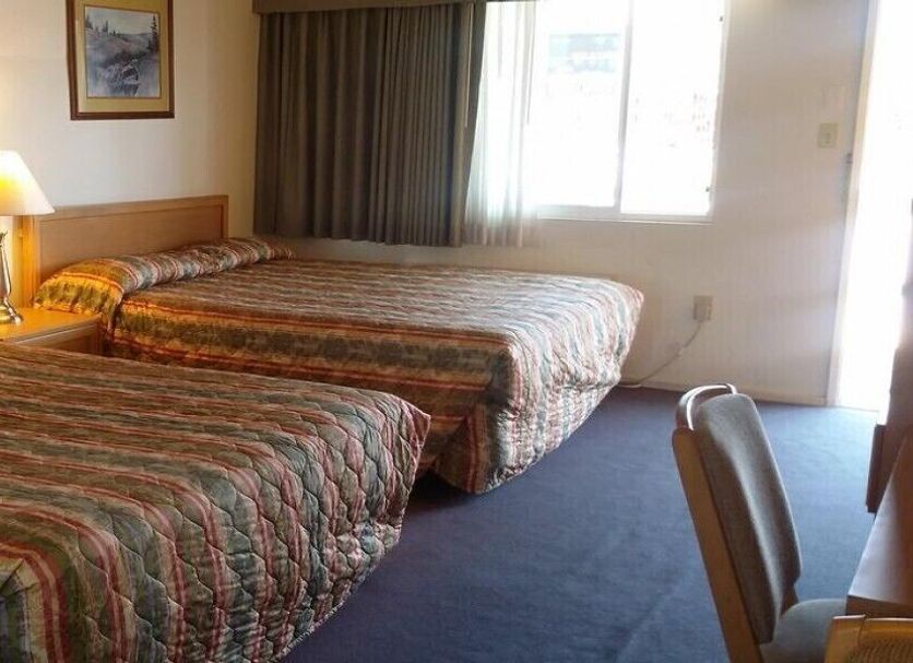 Sonstige Foto