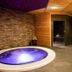 Wellness