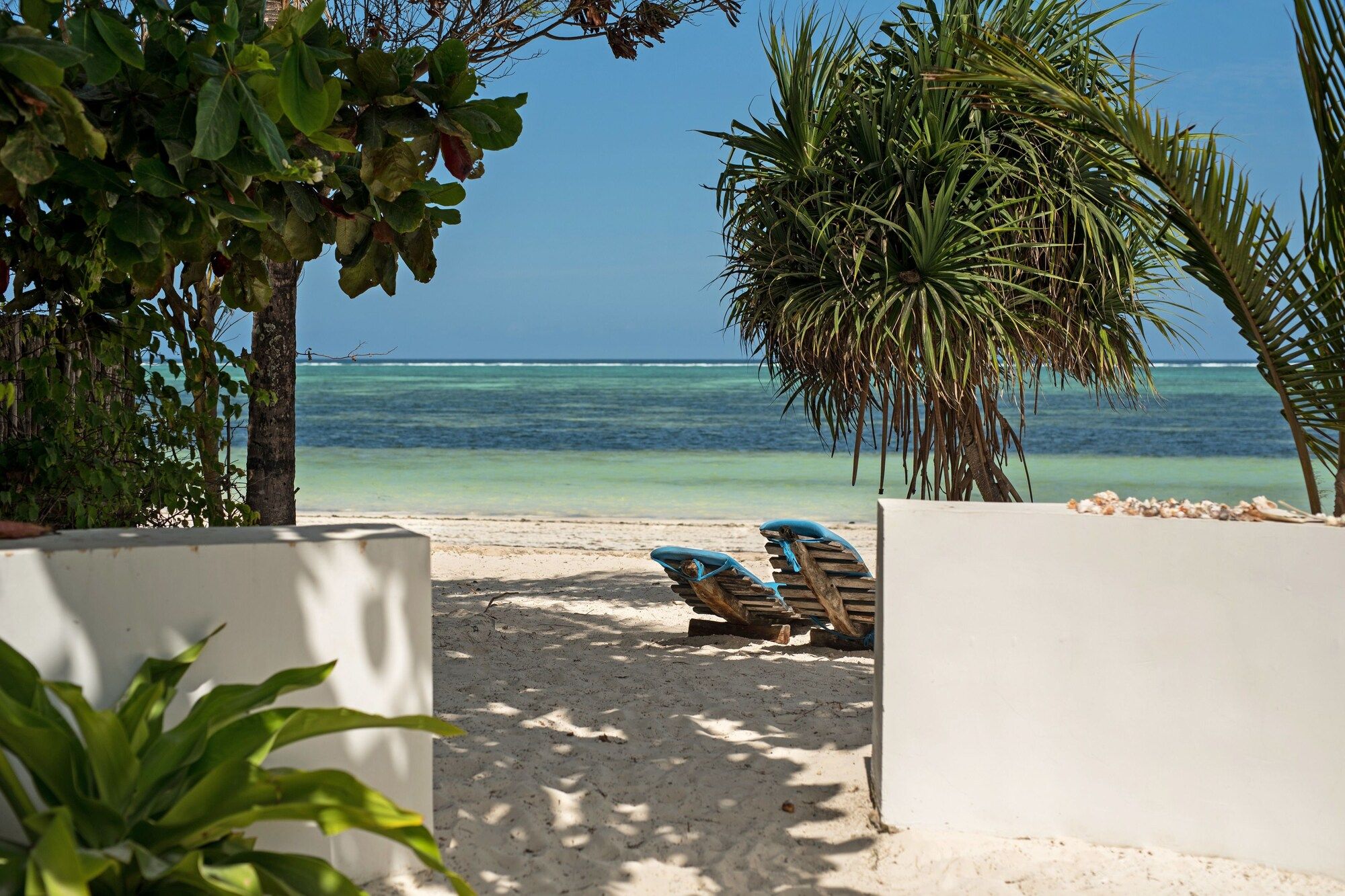 Strand Foto
