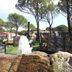 Sonstige