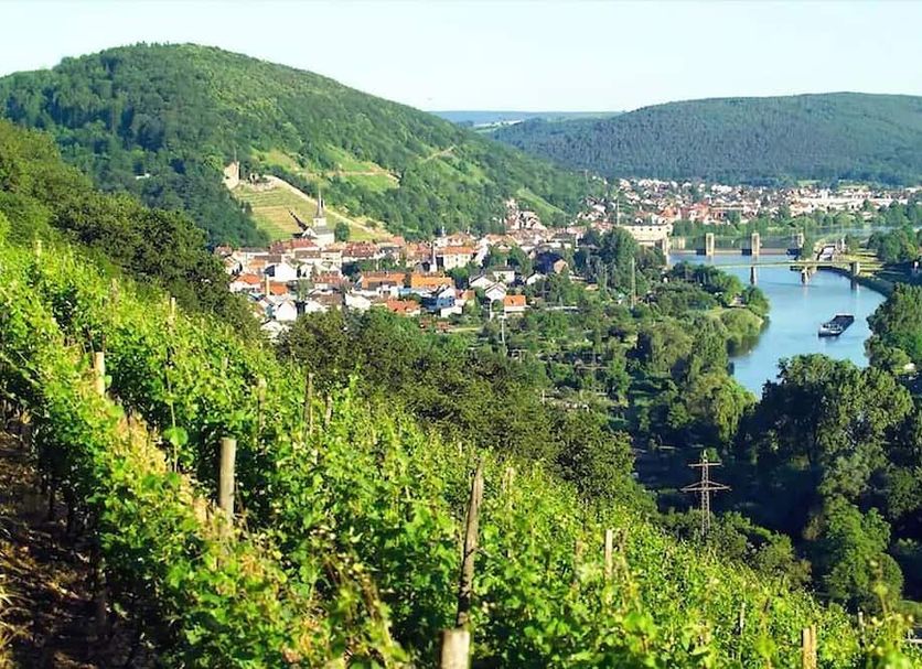Außenansicht Foto