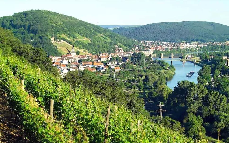 Außenansicht Foto