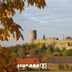 Sonstige