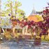 Innenhof