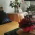 Sonstige