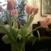 Sonstige