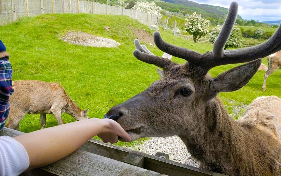 Sonstige Foto