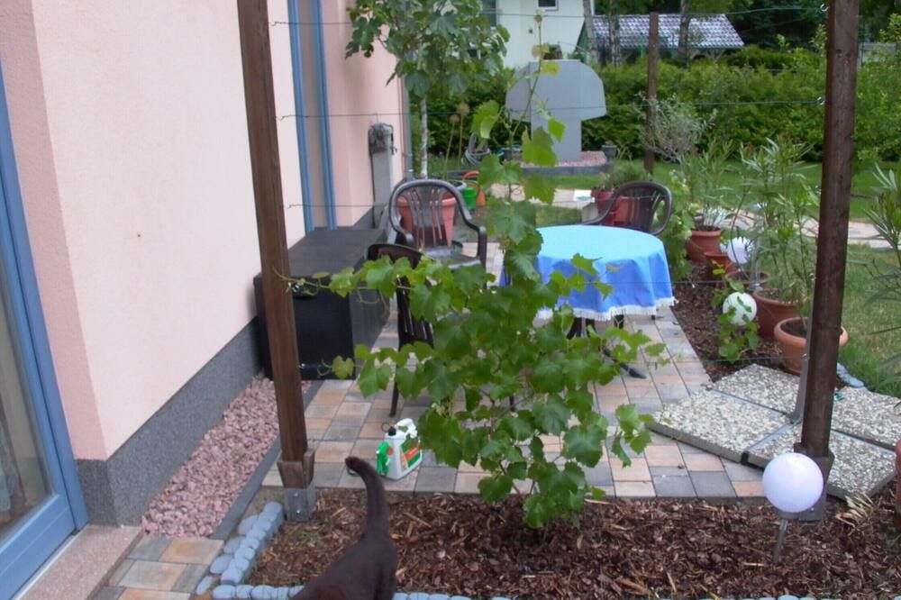 Sonstige Foto