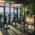 Fitnessbereich