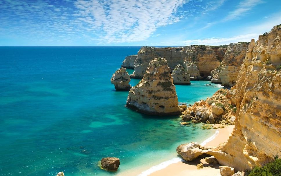 Sonstige Foto