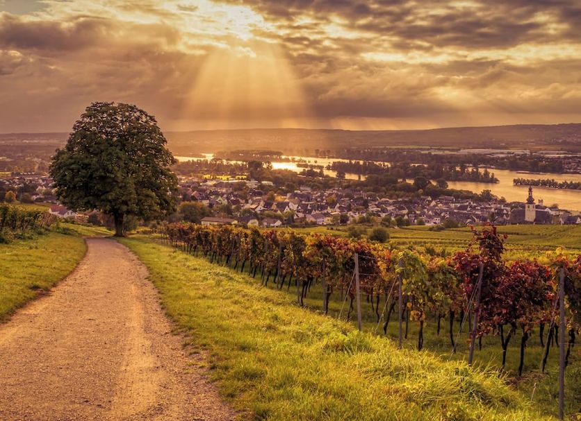 Außenansicht Foto