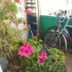 Sonstige