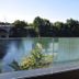 Sonstige