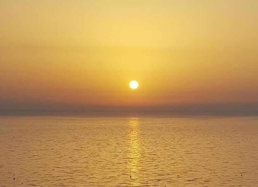 Sonstige Foto