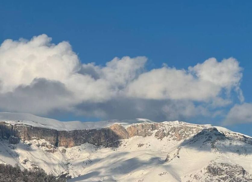 Außenansicht Foto