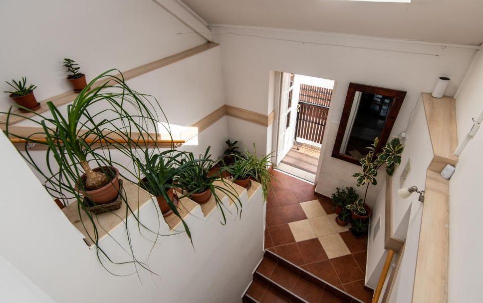 Aufgang Foto