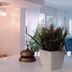 Zimmerausstattung