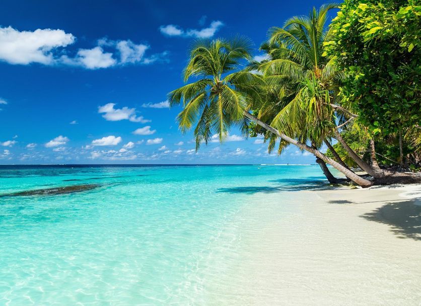 Strand Foto