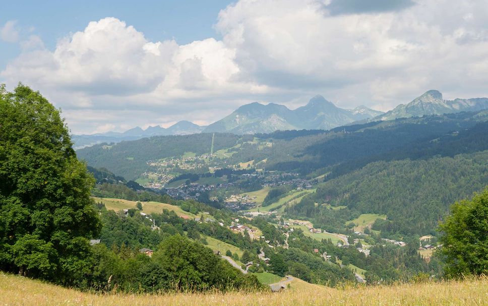 Außenansicht Foto