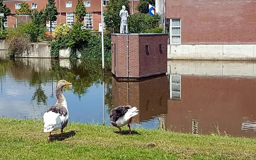 Sonstige Foto