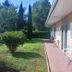 Sonstige