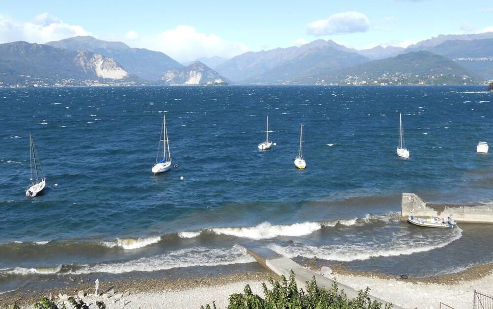 Sonstige Foto
